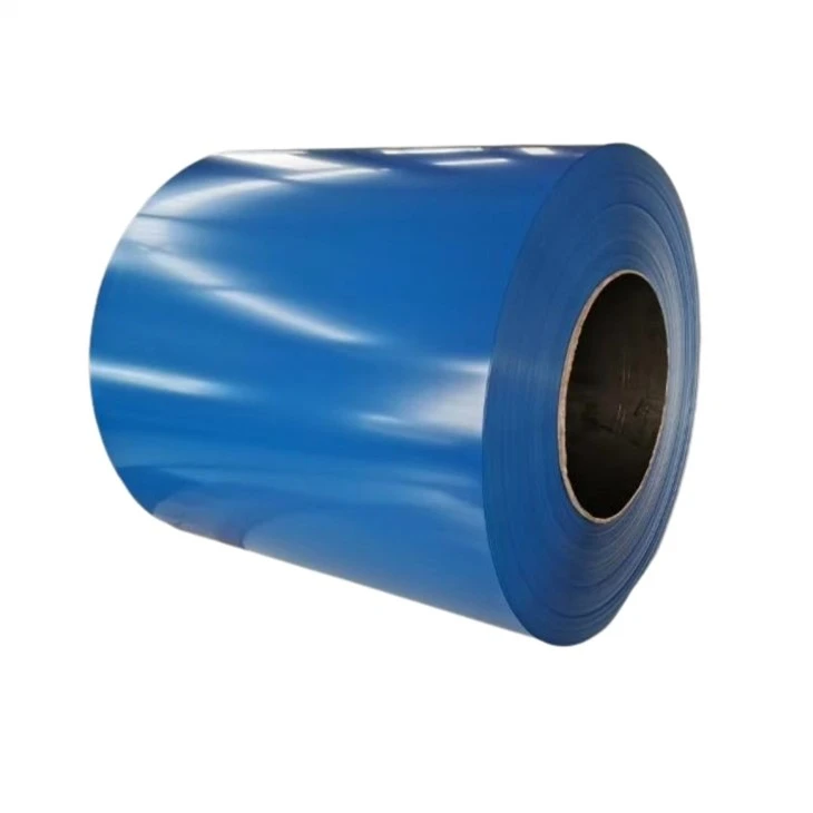COIL BERSALUT WARNA